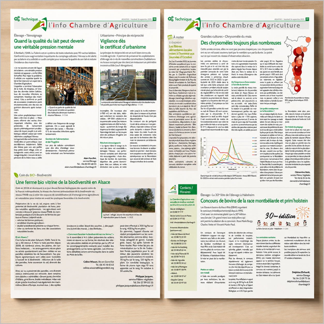 articles